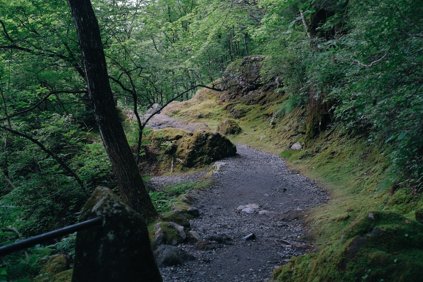 DSCF5018